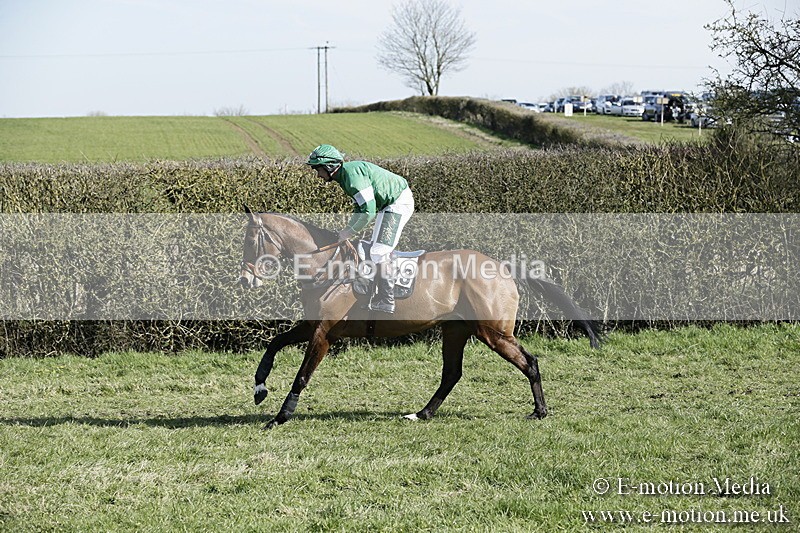 PtP 250317 186 - V.W.H. Hunt Point-to-Point Siddington 25/03/17