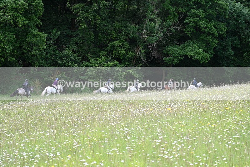 WJ7_8654 - Group 2 10:15am