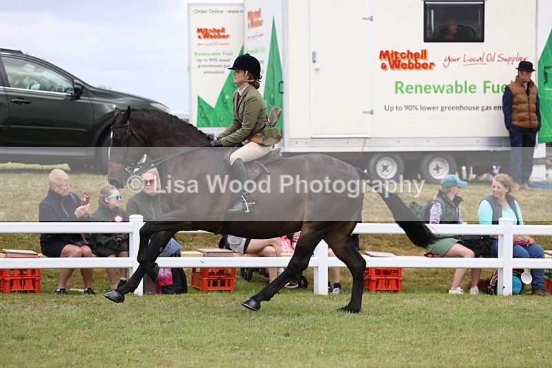 3E7A1568 - Class 9: Open Hunter