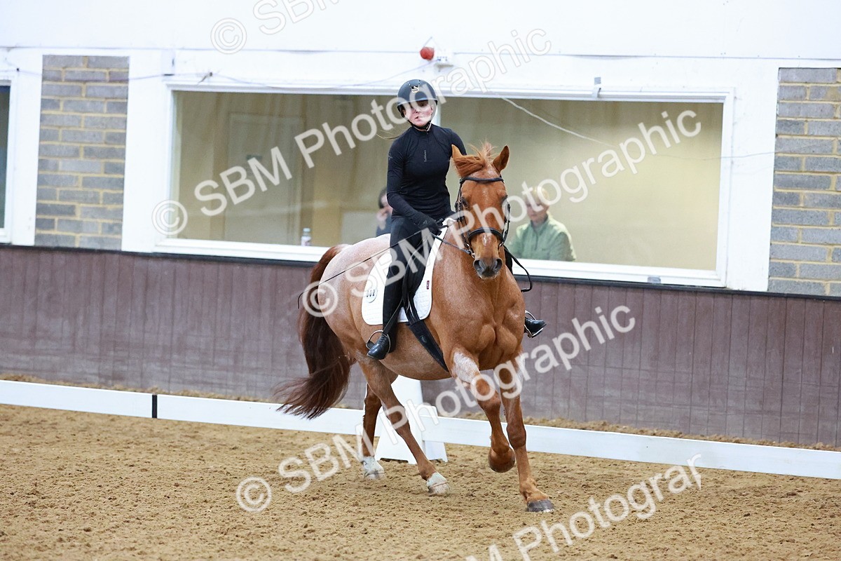 1I0A0960 - Class 3-6 - Prelim 1-Novice 2