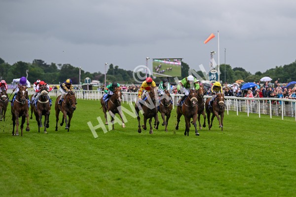 150624-Race 2-Tolstoy-6842 - Race 2 2.25pm Sky Bet Proud To Support Macmillan Handicap