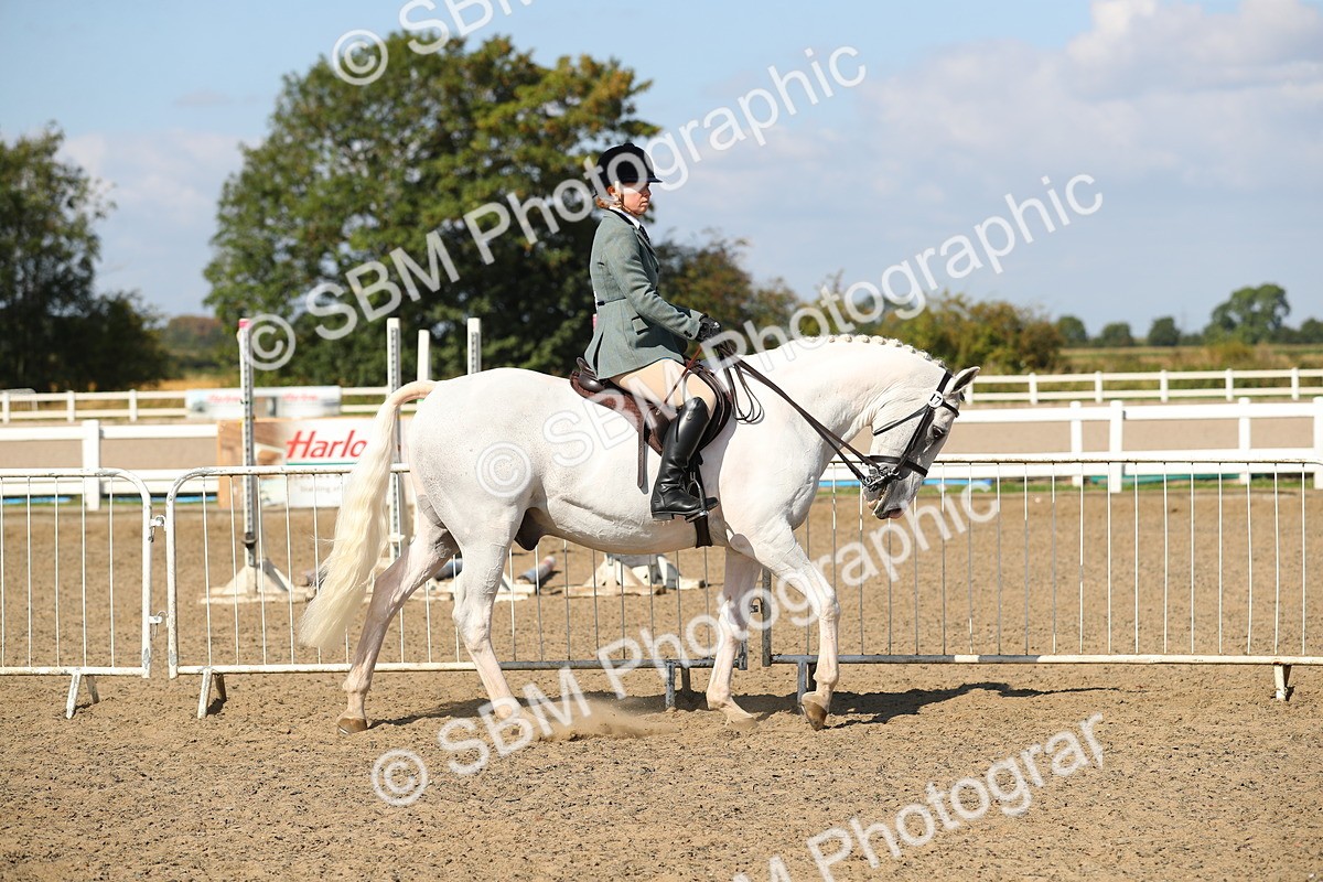 SBM_03103 - Class 44 Riding Club Horse/ Pony