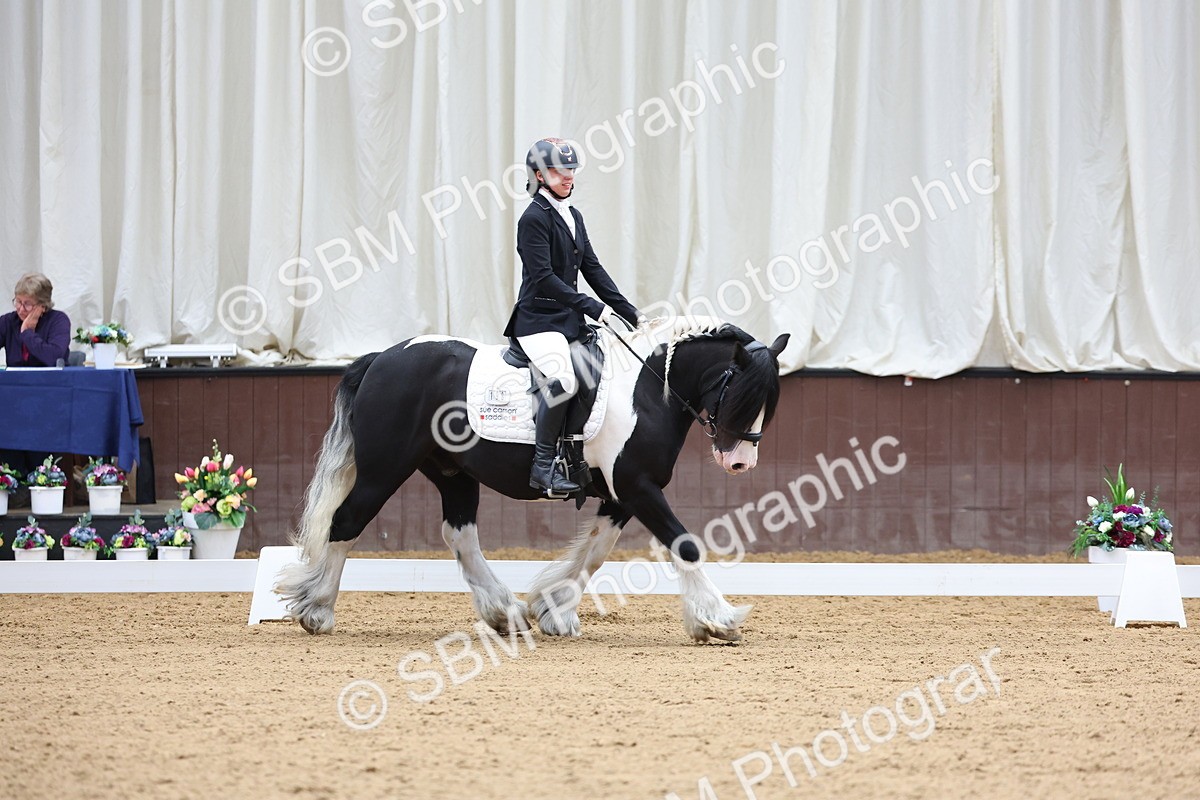 SBM_016000 - Class 15 - Novice FSM - 9.50 - 11.10