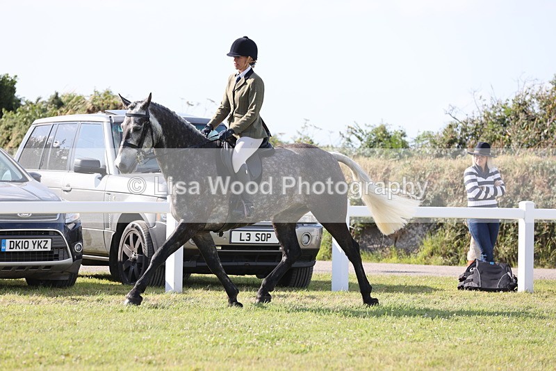 JPP_3023 - Class 20: Working Hunter 70cm