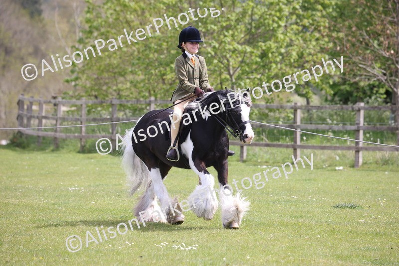 20260426-4043 - Class 33 - Best Pony 14.2hh and Under