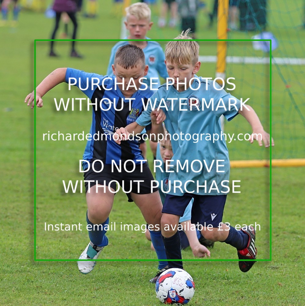 IMG_2747 - Summer Festival Photo Selection Part Two