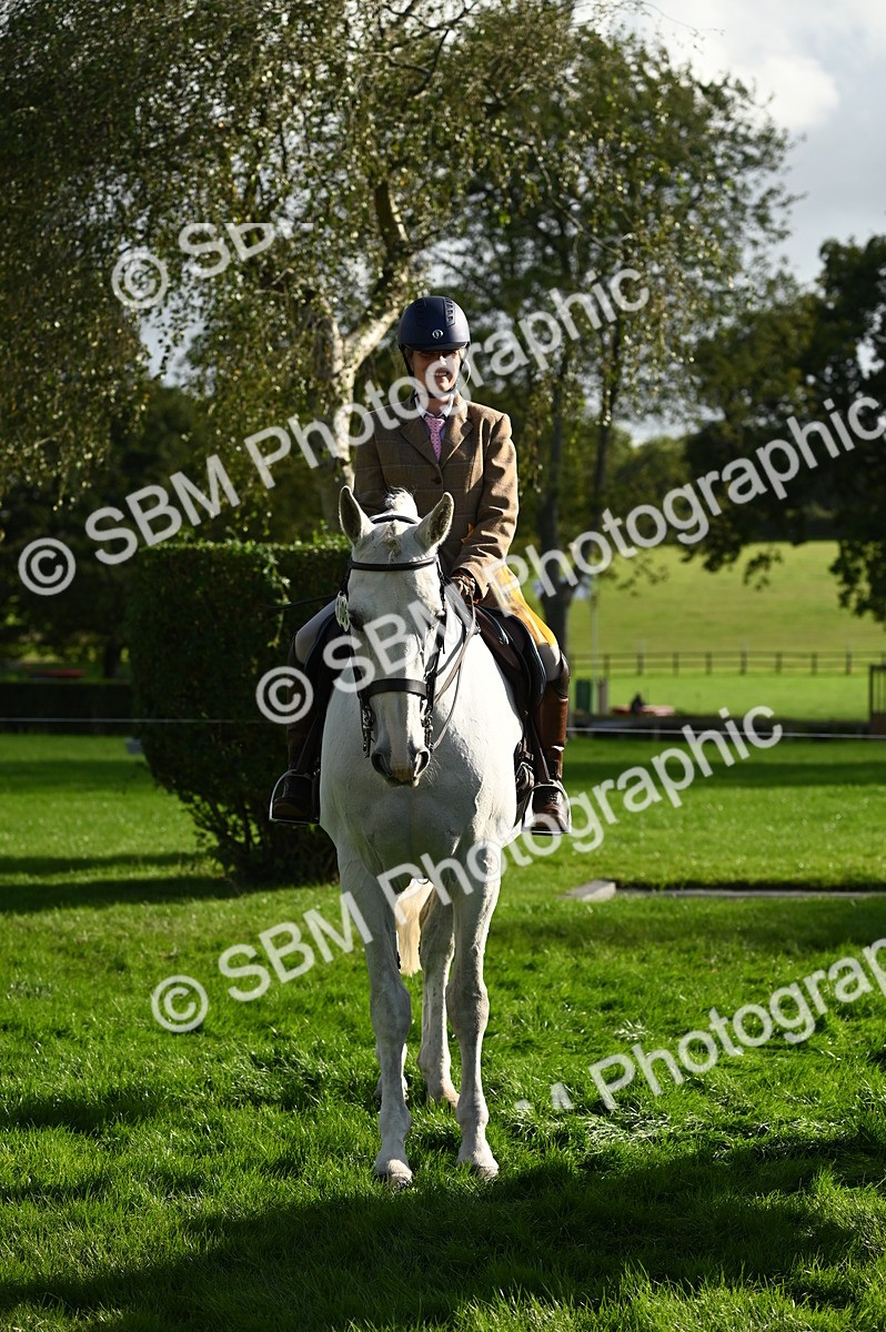 SBM_26471 - S6 - Novice & newcomer Ridden horse