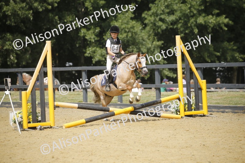 20250622-4065 - 50cm