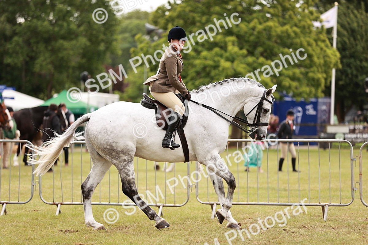 SBM_10896 - Class 81-84 - RIHS Ridden hunters Inc Ladies Hunter