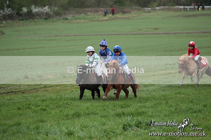 SHETPR 210425 165 - Shetland Ponies Paxford Races 21/04/25