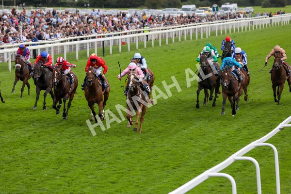 250823-Race 4-Live In The Dream-5868 - Race 4 3.35pm Coolmore Wootton Bassett Nunthorpe Stakes