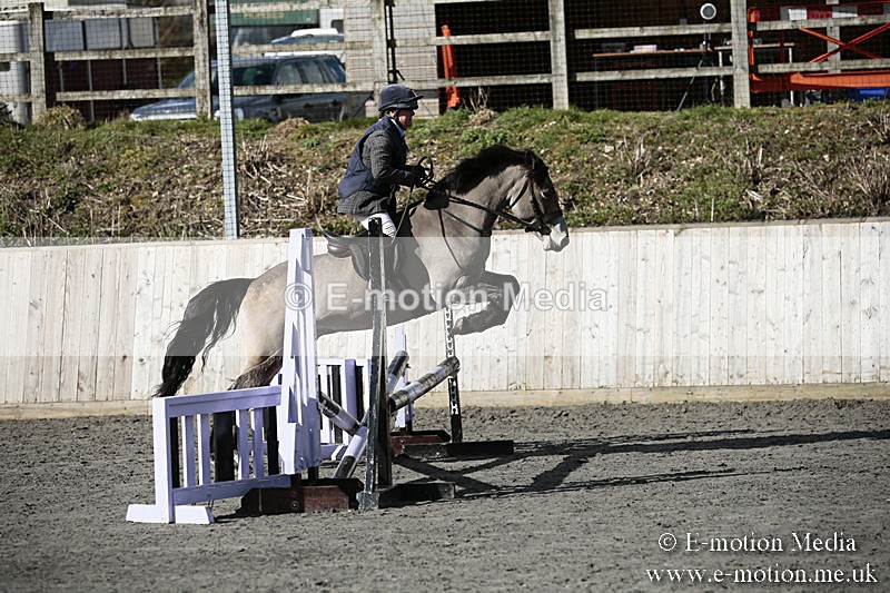 BVRC SJ 170319 43 - Bourne Valley Riding Club Showjumping 17/03/19