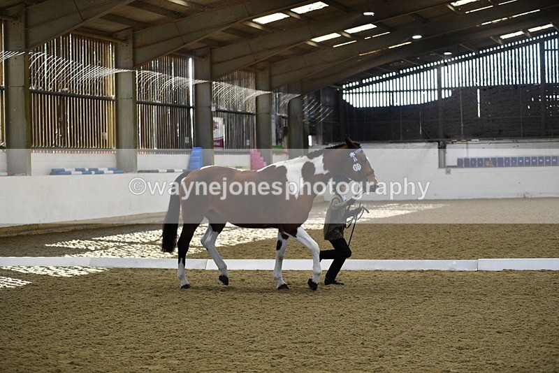 WJ5_3844 - Class 5 In Hand Veterans