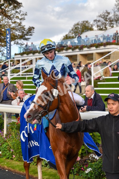 141023-Race 2-Whiskey Pete-0816 - Race 2 1.50pm Play Coral 'Racing-Super-Series' For Free Nursery Handicap