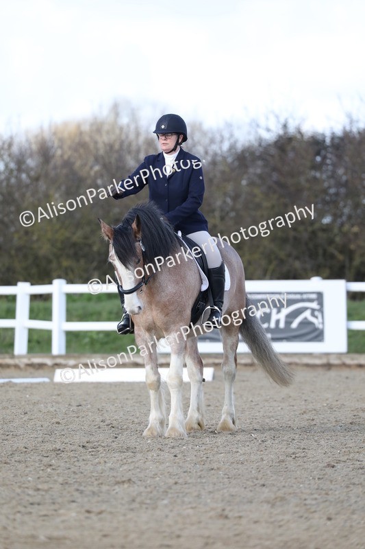 20260314-5017 - CT6 - Elementary 1