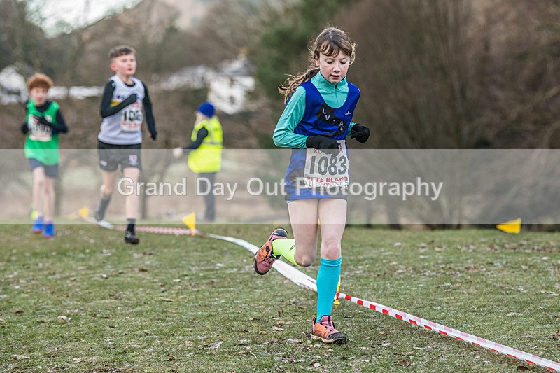Cumbria XC-118 - Cumbria Cross Country Championships (Junior & Senior Races) Saturday 3rd January 2026