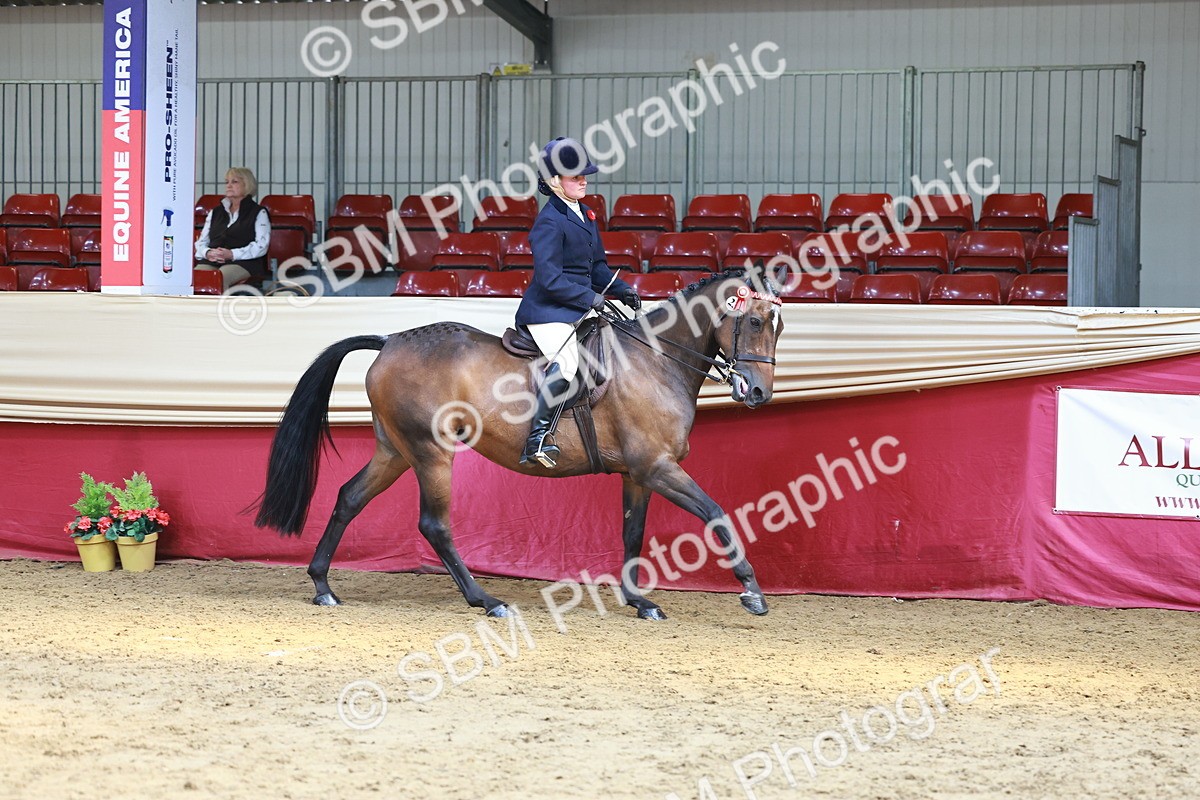SBM_23918 - Class 905 - Supreme Final - Ridden Veteran
