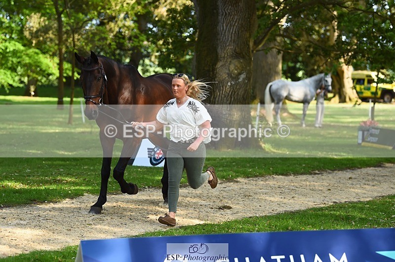 230524-171956-01440 - 178-RIDIRE_DORCHA-Lucy_Stimson-WEDTrotUp+DR