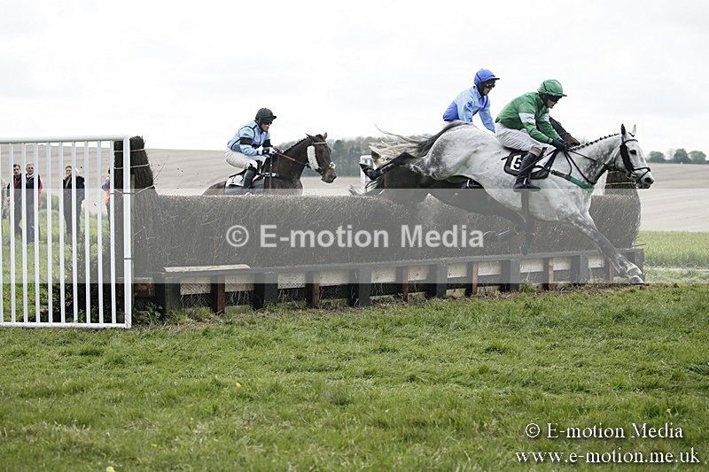 PtP 170417 95 - Old Berks Point-to-Point Lockinge 17/04/17