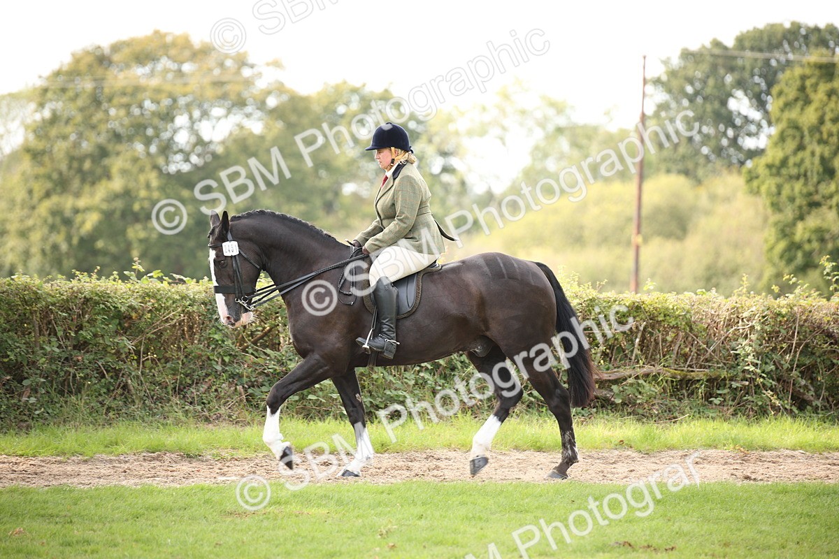SBM_70390 - S66 - Hunter Ridden