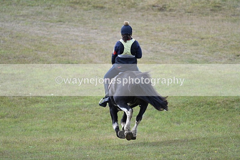 WJ7_5195 - Time 11:22 to 11:41