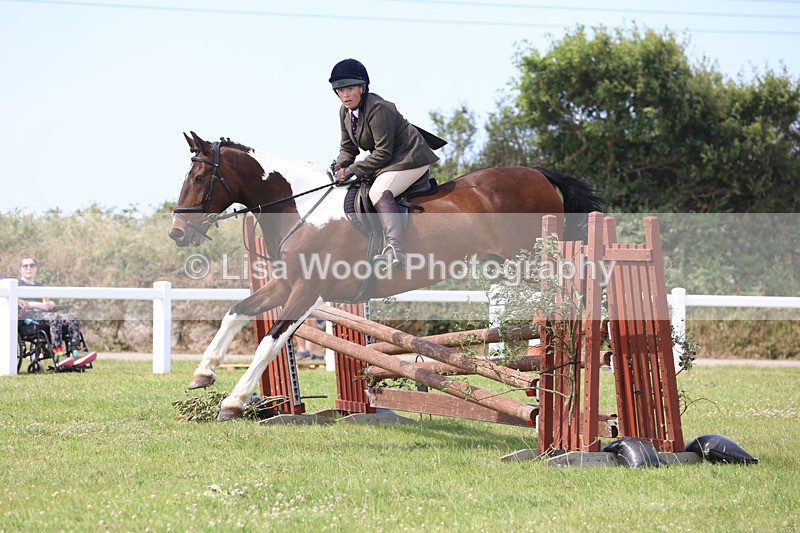 JPP_3648 - Class 23: Working Hunter 80cm