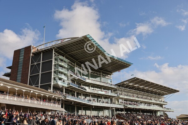 yr07102022r4-28 - Race 4 3.50pm William Hill Best Odds Guaranteed Stakes