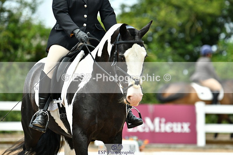 230702A-130856-09795 - Cls 28 Elementary 45