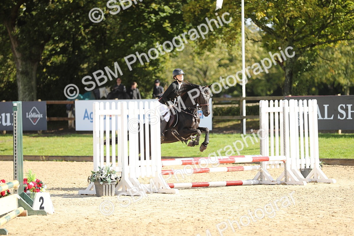 SBM_40197 - J21 - Junior Horse 60cm Championship