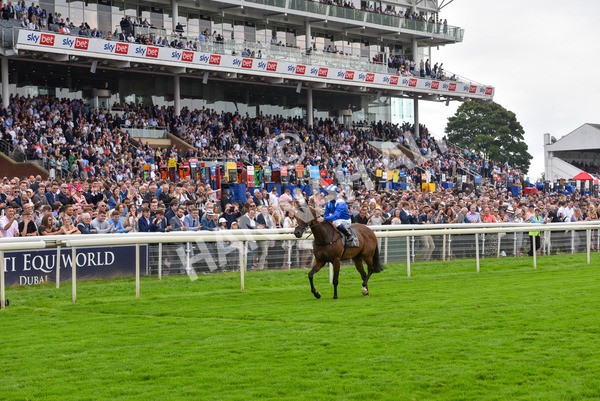 yr20082021r4-59 - Race 4 3.35pm Coolmore Wootton Bassett Nunthorpe Stakes (British Champions Series Race)