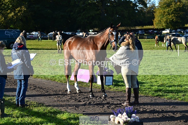 231022-093234-21864 - 559-STAR.ACADEMY-Harriet.Dickin-TrotUp+SJ