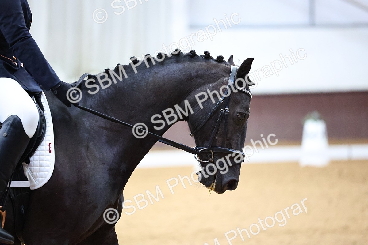 SBM_003373 - Intro 2