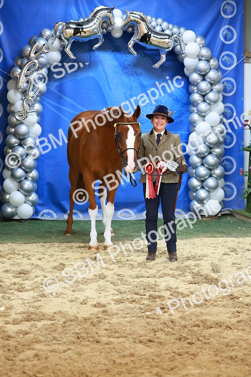 SBM_00604 - Class 3A - IH Pre-Vet