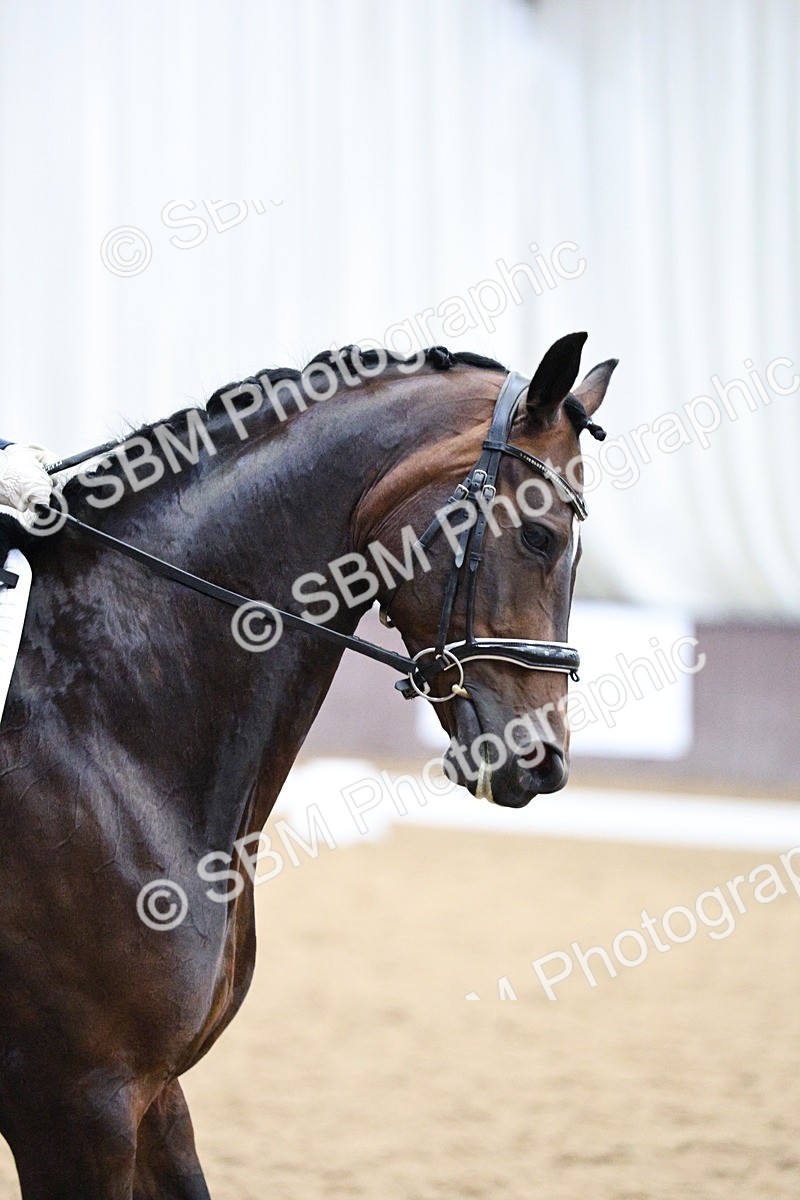 SBM_002043 - Class 10 - Medium 5