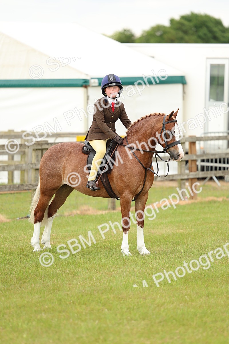 SBM_10373 - Class 44-45 - LIHS BSPS Open Nursery and Cradle Stakes
