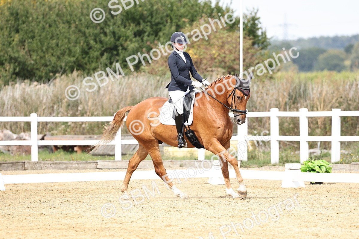 SBM_018353 - Class 16 - Novice 5 - 11.12-12.01