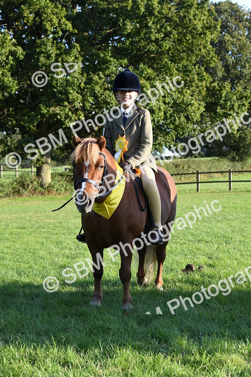 SBM_54164 - S23 - 1st Ridden Mountain & Moorland Pony