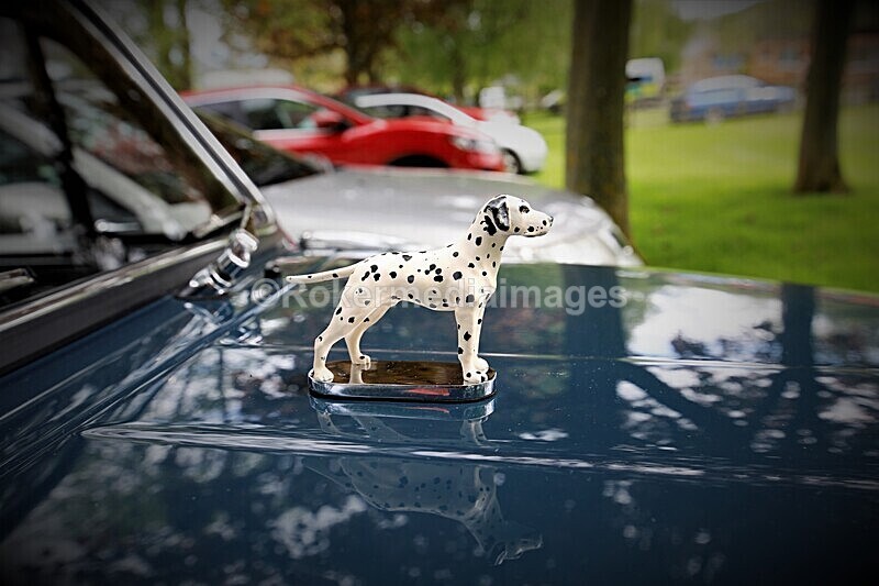 _56A1955 - MINI FESTIVAL 22ND May 2021