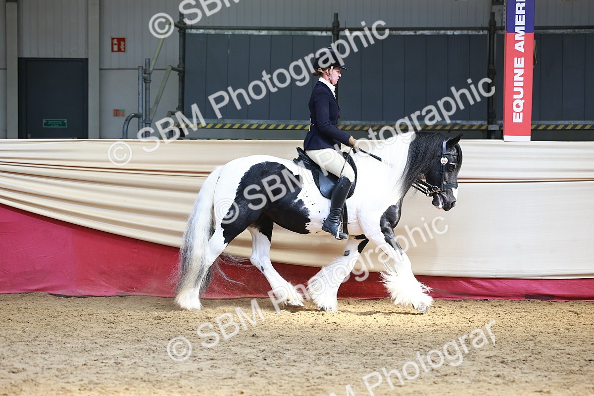 SBM_23298 - class 906 - Supreme Final - Ridden Pre Vet