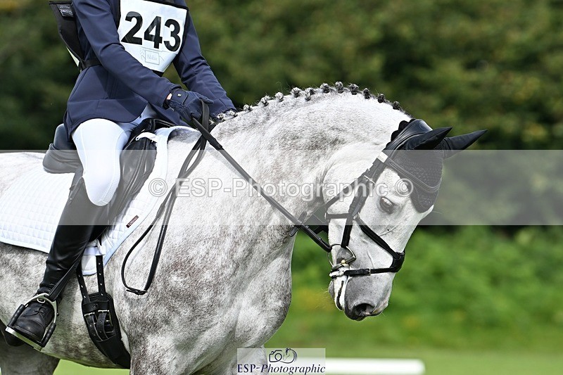 230826-110147-16813 - Sections A & B 10 to End