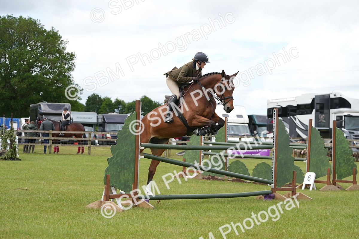 SBM_14956 - Class 100-102 - RIHS Working Hunter