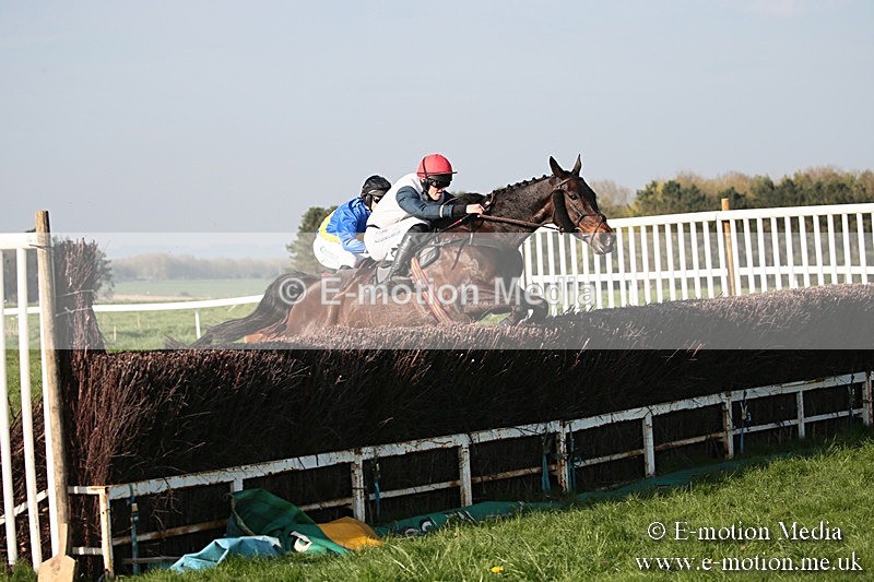 PtP 210418 635 - South & West Wilts Point-to-Point Larkhill 21/04/18