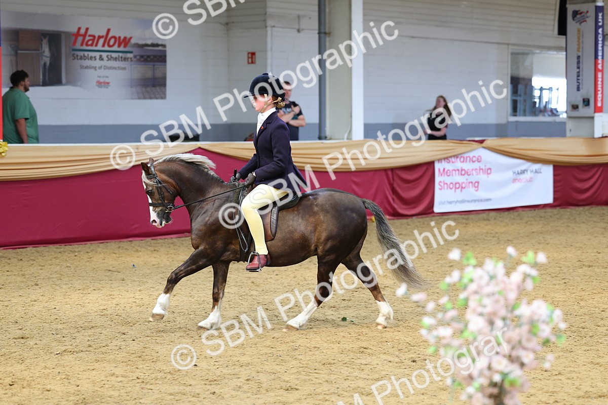 SBM_23540 - Class 904 - Supreme Final Ridden Diamond