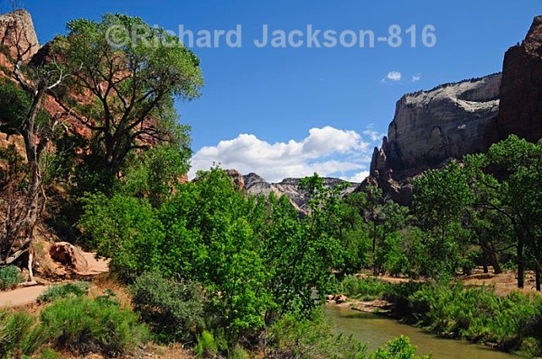 IMG: 0081 - Zion National Park