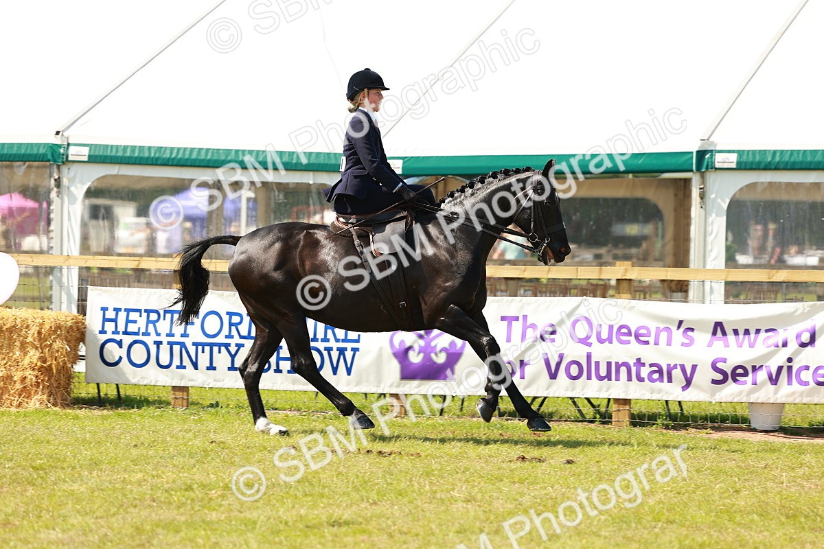 SBM_13224 - Class 70-71 - Side Saddle
