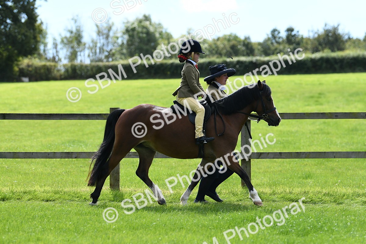 SBM_42525 - S20 - Lead Rein Mountain & Moorland Pony