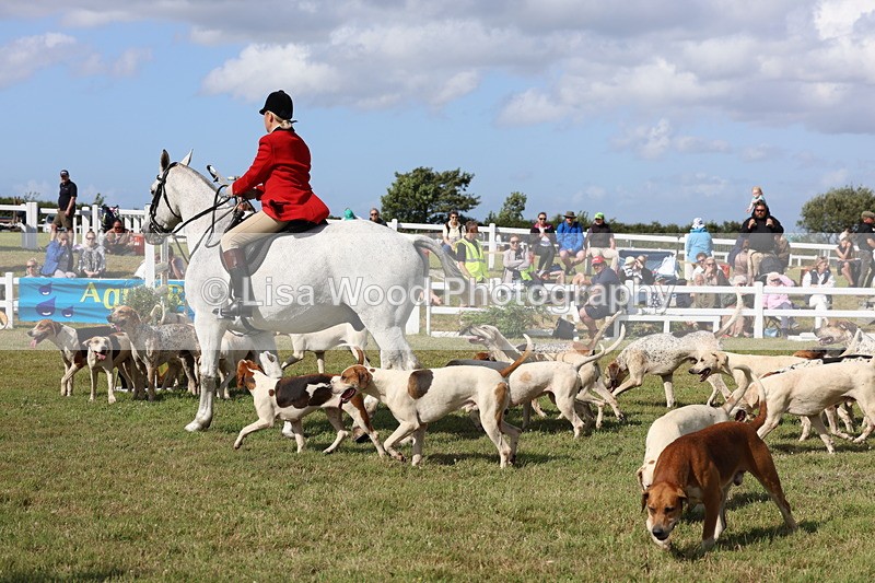 3E7A3429 - Parade of Hounds