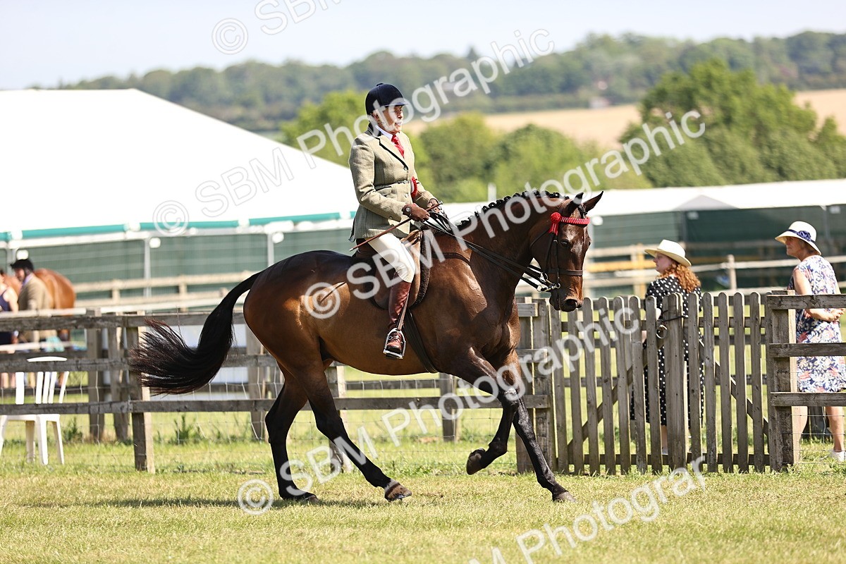 SBM_13068 - Class 75-76 LIHS BSHA Rising Star Hack Riding Horse
