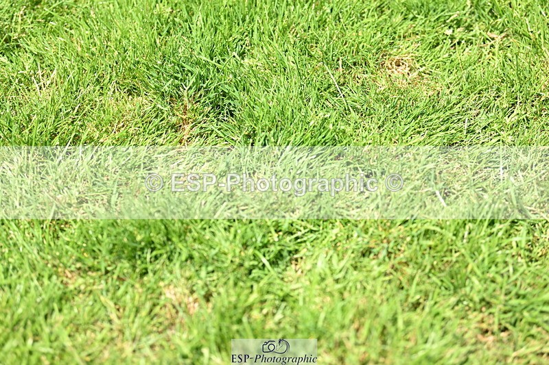 250615A-122119-10677 - Cls 37 Snr 1m30 GP
