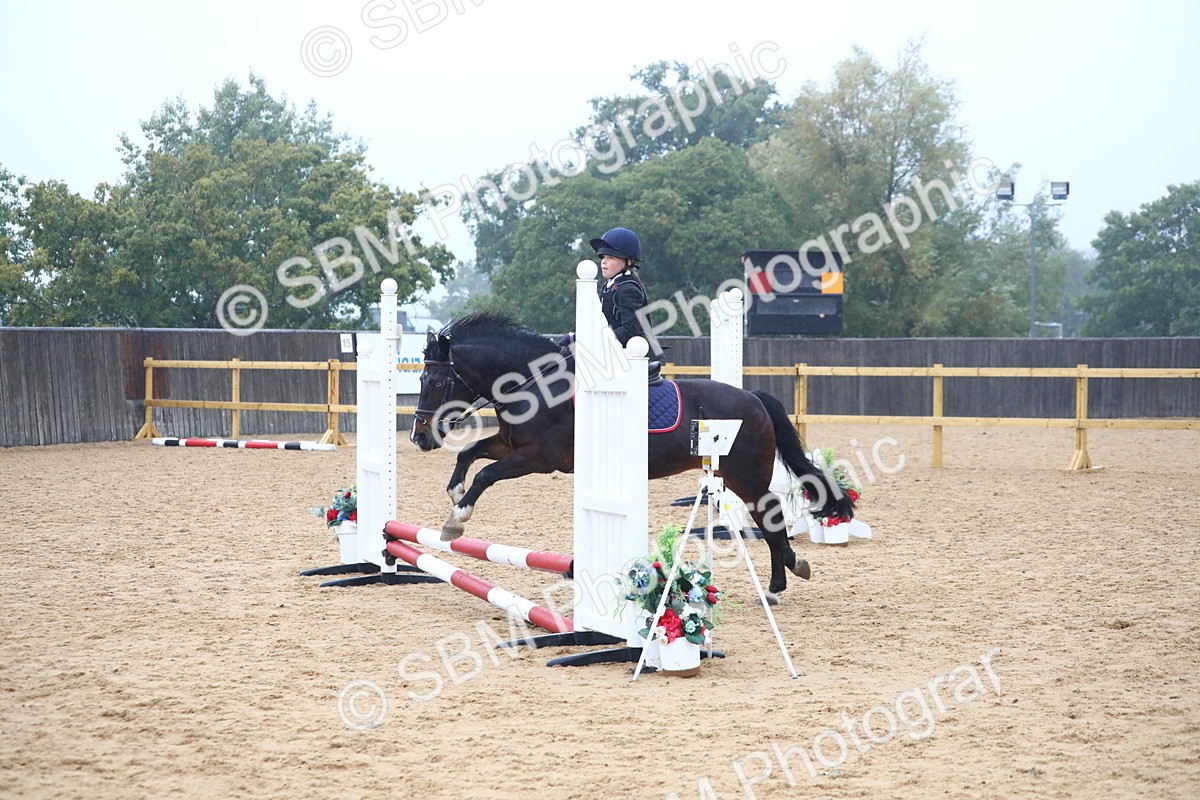 SBM_71801 - J4 - Mini Tour Junior Pony 45cm Championship